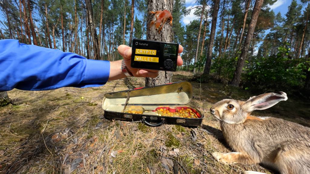 Treasure with rabbit and crypto wallet